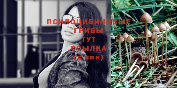 MESCALINE Няндома