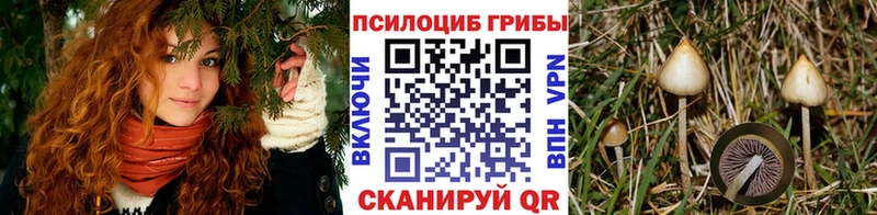 даркнет сайт  Тейково  Псилоцибиновые грибы мухоморы 